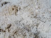 Closeup of Salt Crystals at Badwater